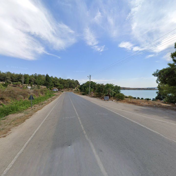 Fotoğraf 9