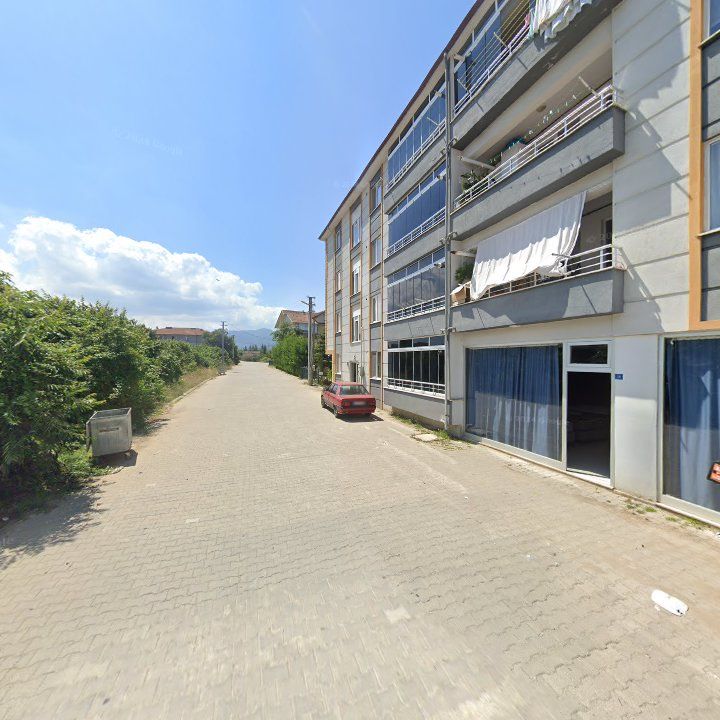 Fotoğraf 8