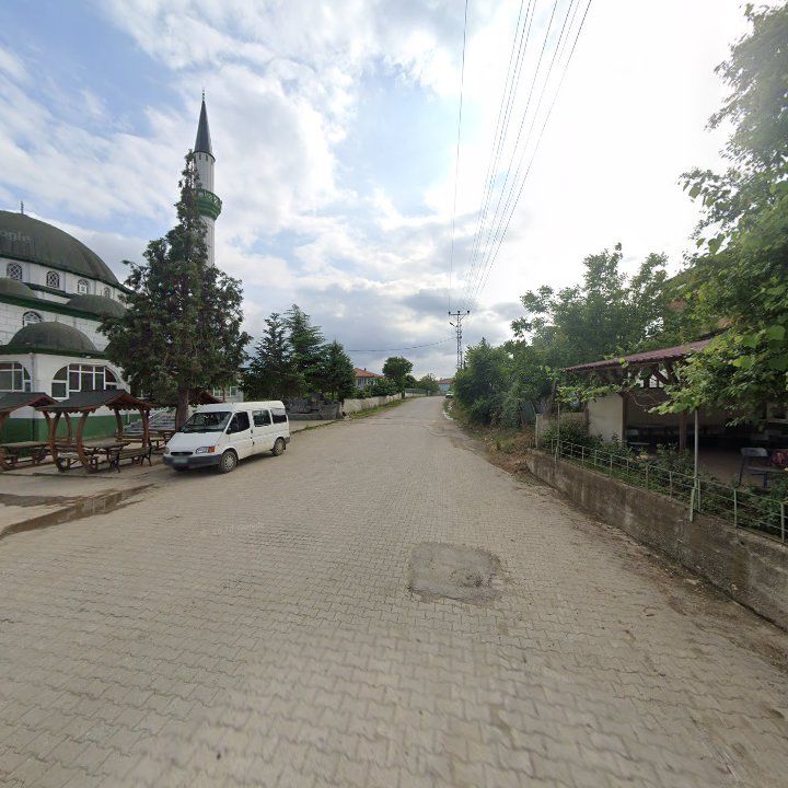 Fotoğraf 8