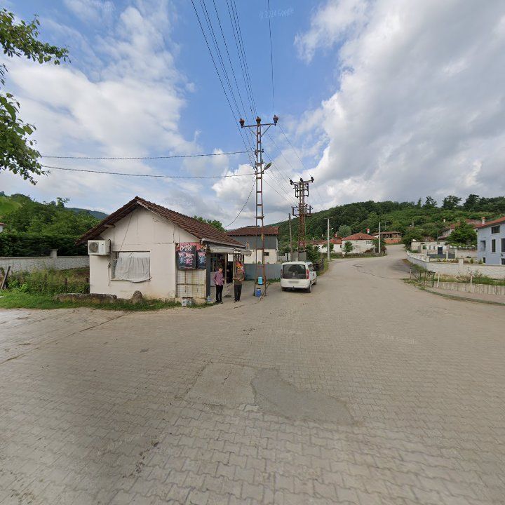 Fotoğraf 6