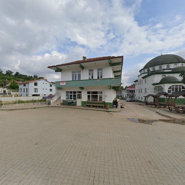 Fotoğraf 7