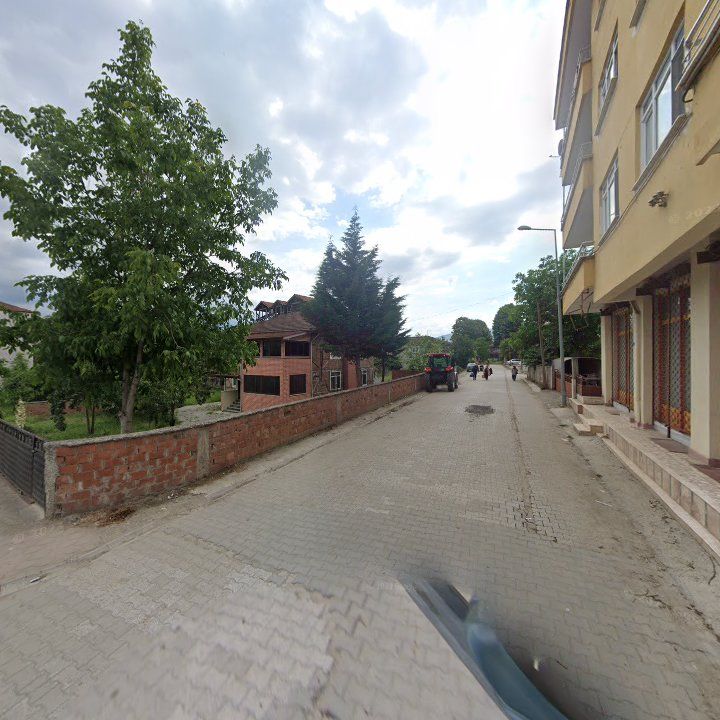 Fotoğraf 8