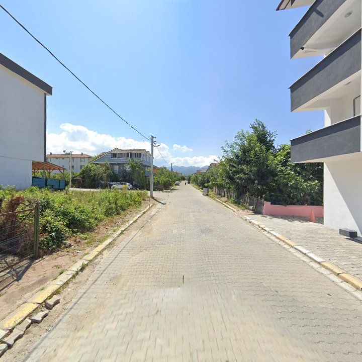 Fotoğraf 10