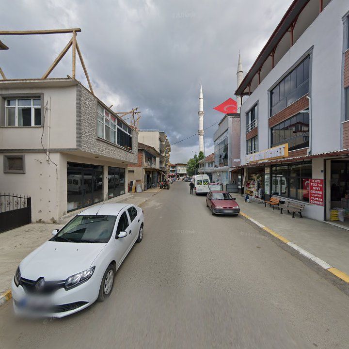 Fotoğraf 8