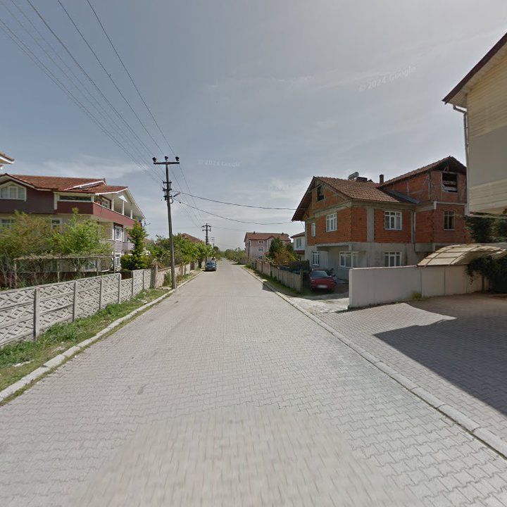 Fotoğraf 10