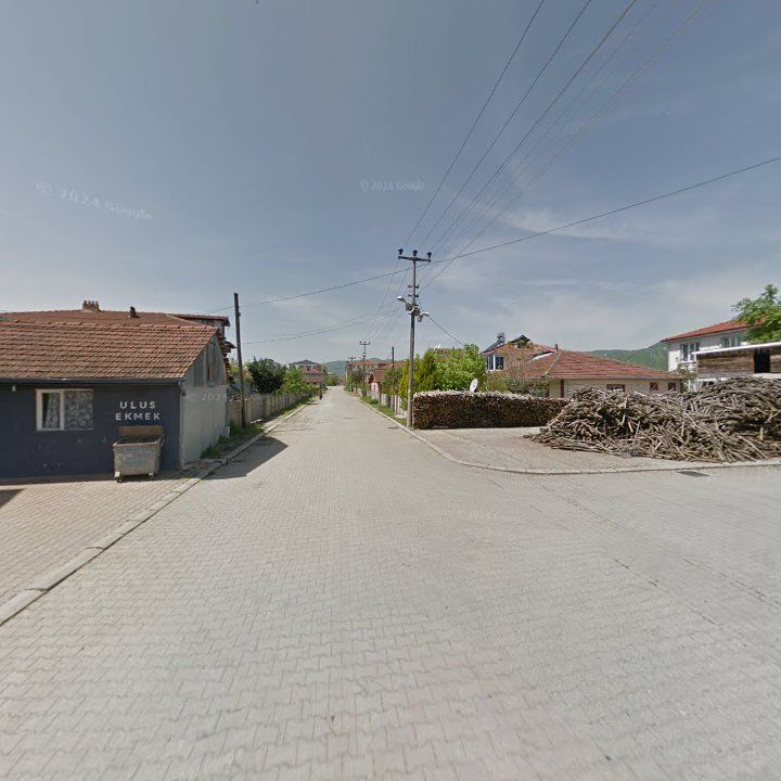 Fotoğraf 8