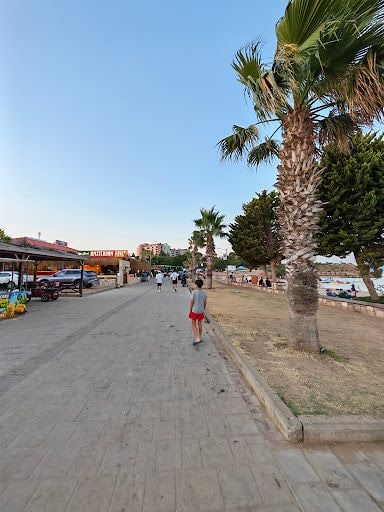 Fotoğraf 11