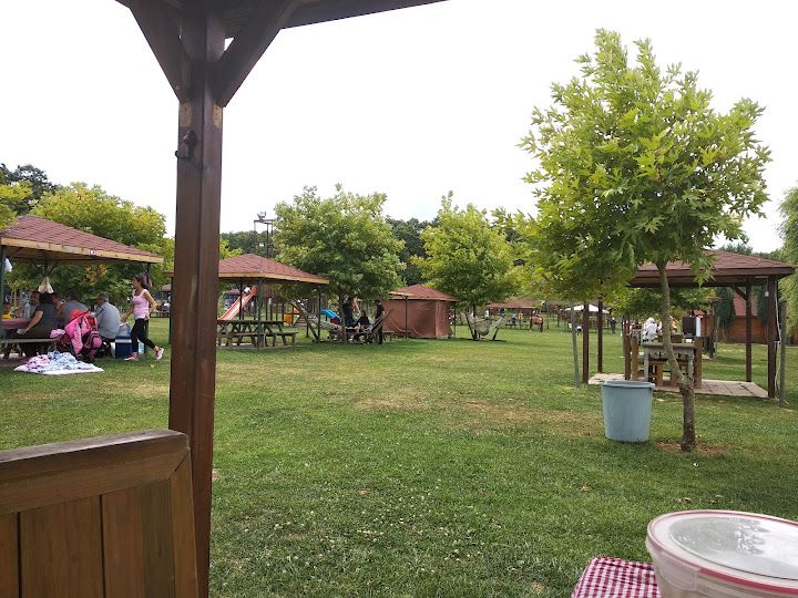 Fotoğraf 12
