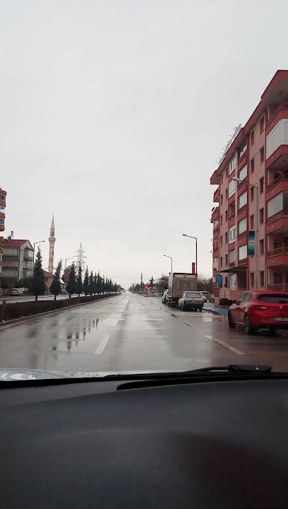 Fotoğraf 5