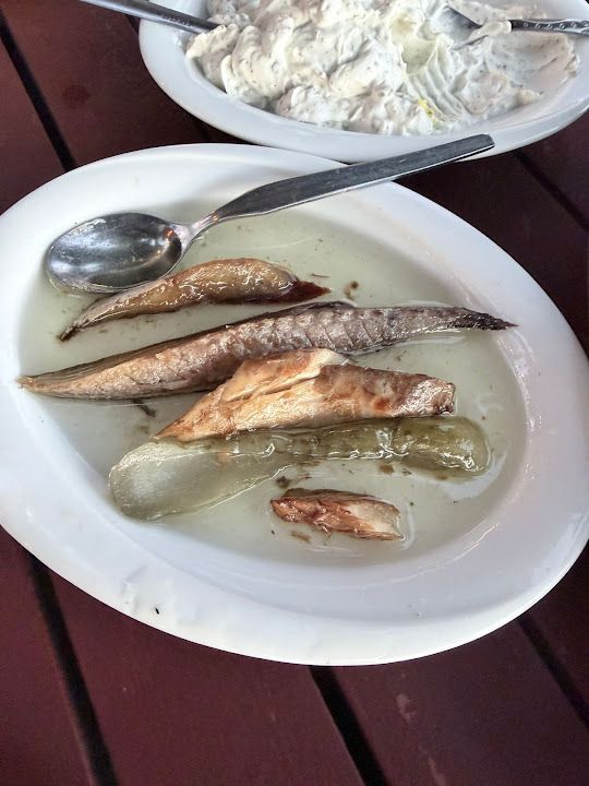 Fotoğraf 15