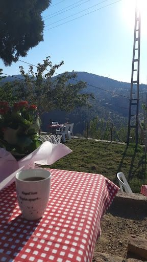 Fotoğraf 17