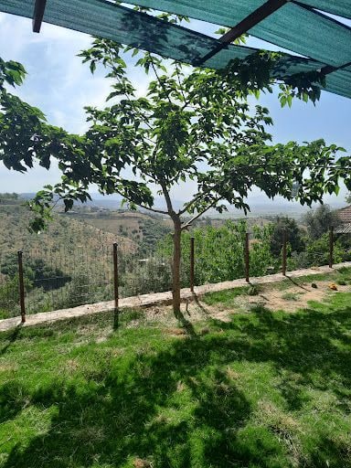 Fotoğraf 19