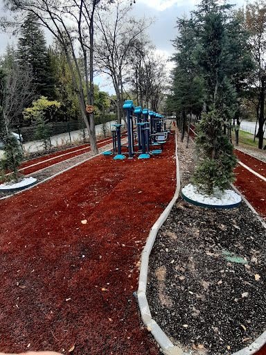 Yorum fotoğrafı 5