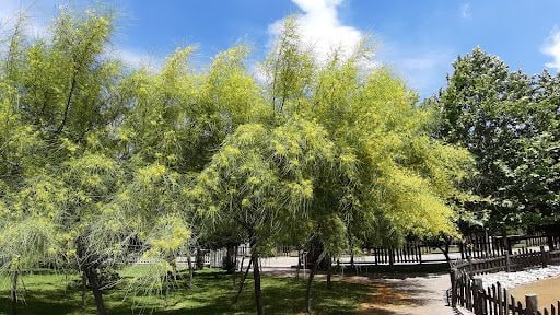 Yorum fotoğrafı 5