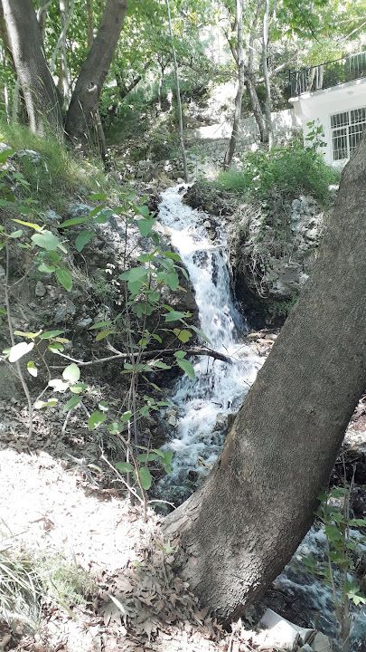 Boğaz Mangal Evi