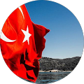 D. Yavuz