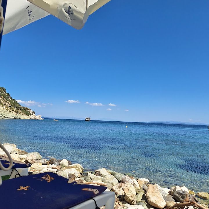 Fotoğraf 13