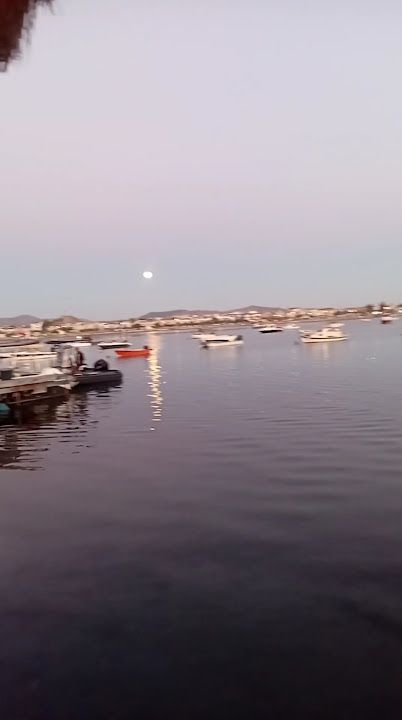 Fotoğraf 30