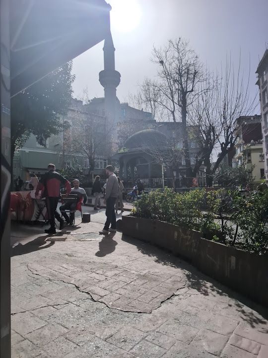 Fotoğraf 14