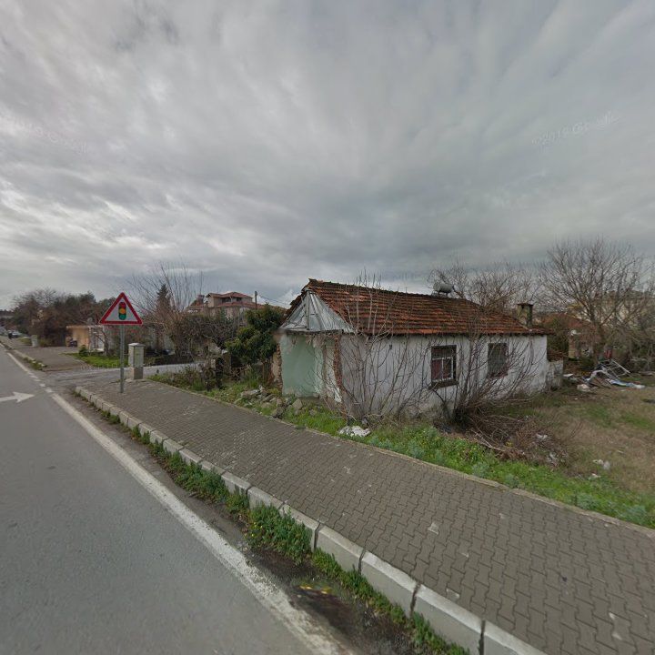Fotoğraf 10