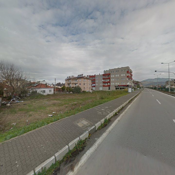 Fotoğraf 7