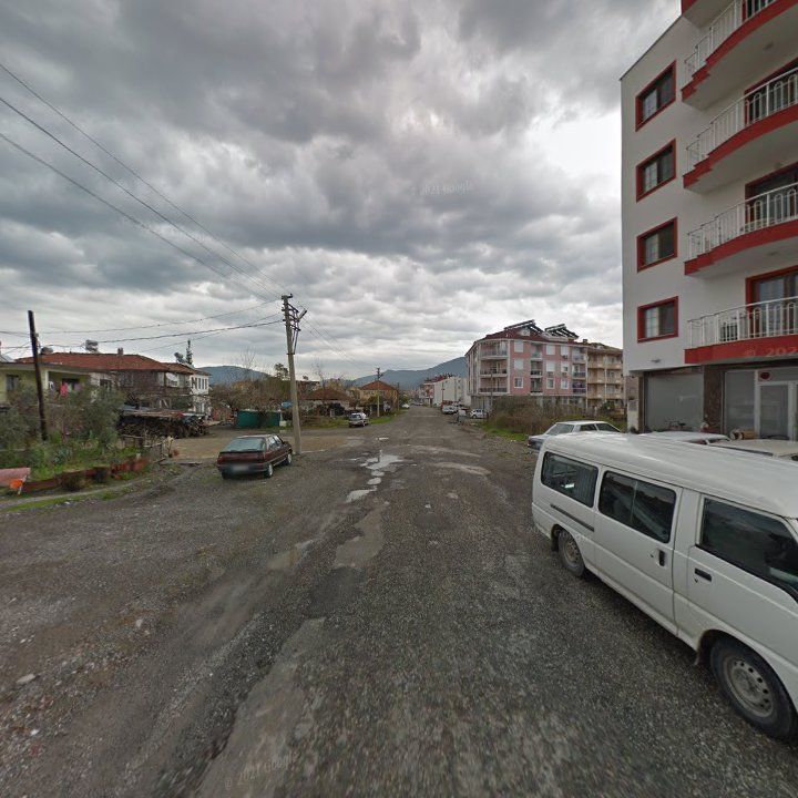 Fotoğraf 16