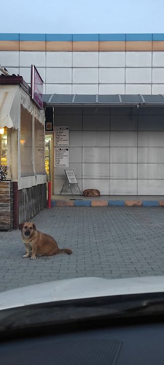 Fotoğraf 38