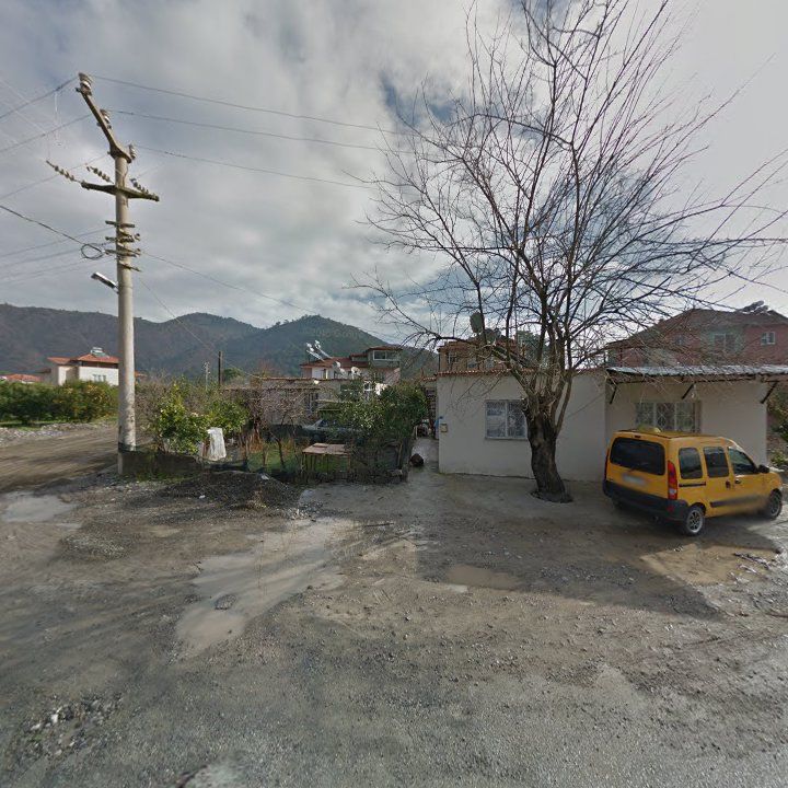 Fotoğraf 7