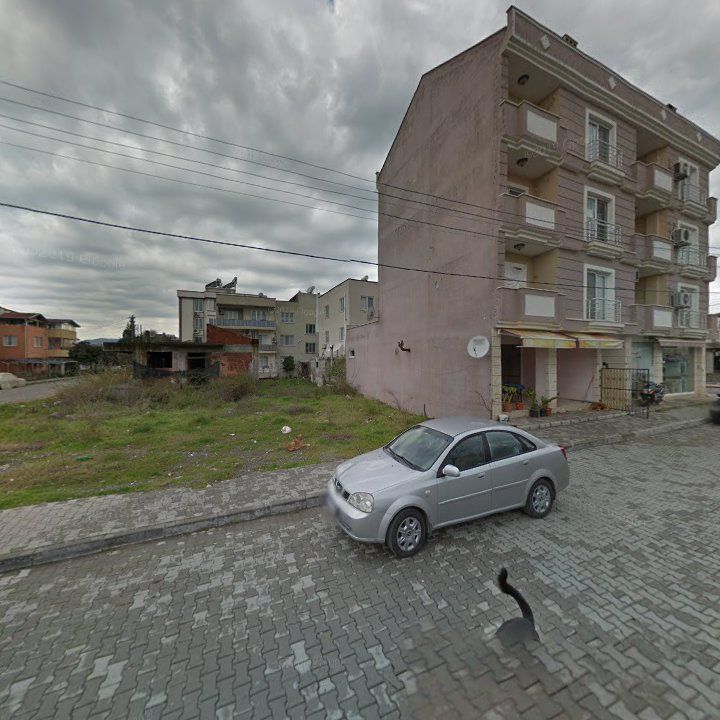 Fotoğraf 9