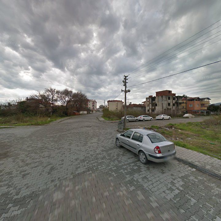 Fotoğraf 12