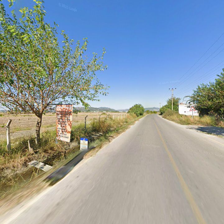 Fotoğraf 11