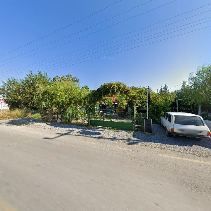 Fotoğraf 8
