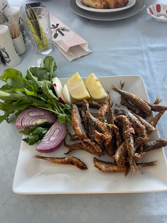 Fotoğraf 16