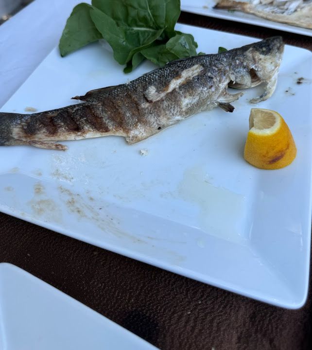 Fotoğraf 19
