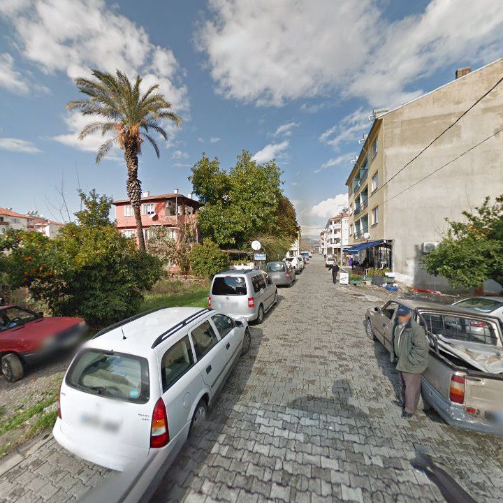 Fotoğraf 8