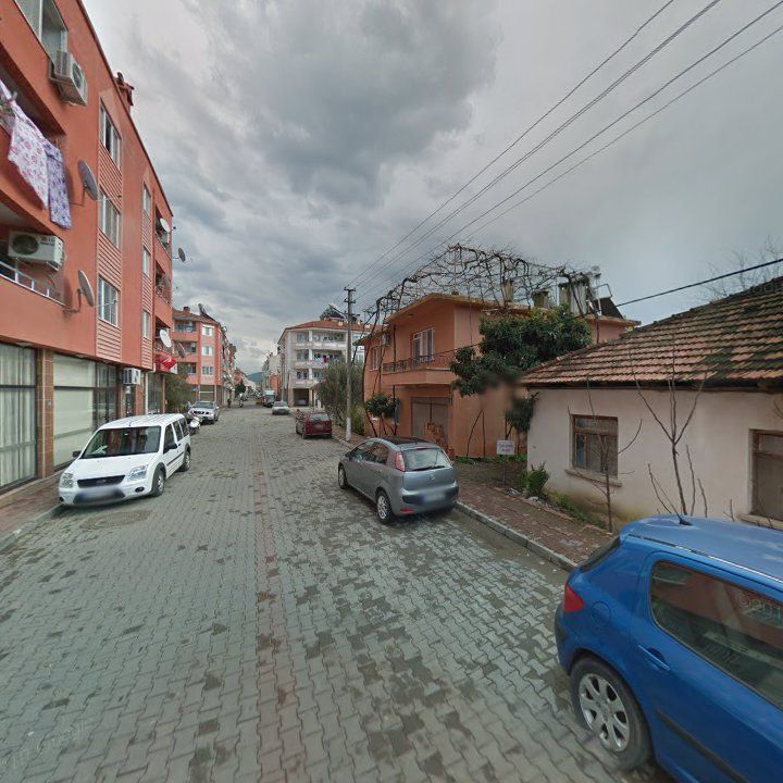Fotoğraf 8