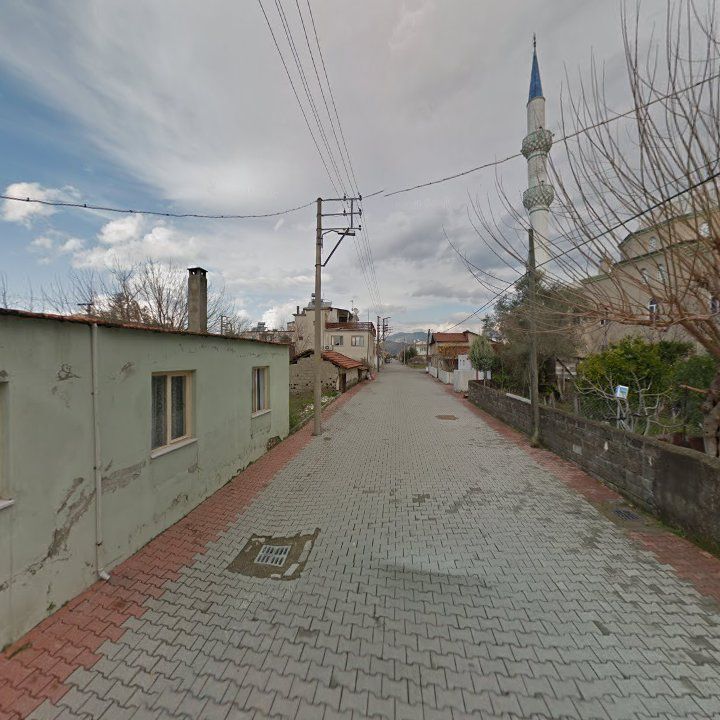 Fotoğraf 4