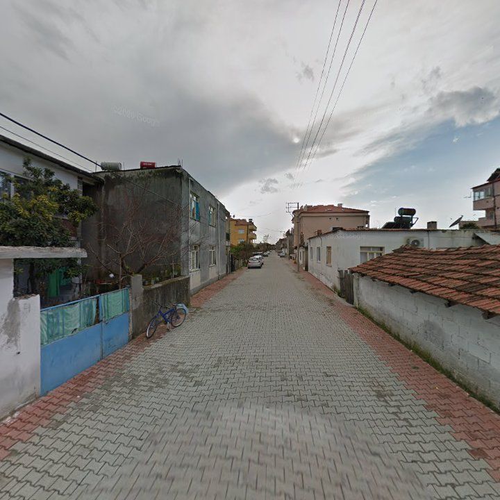 Fotoğraf 6