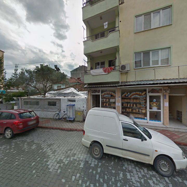 Fotoğraf 6