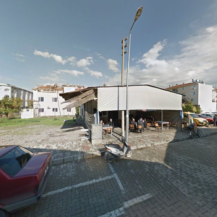Fotoğraf 9