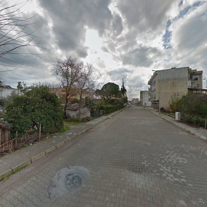 Fotoğraf 7