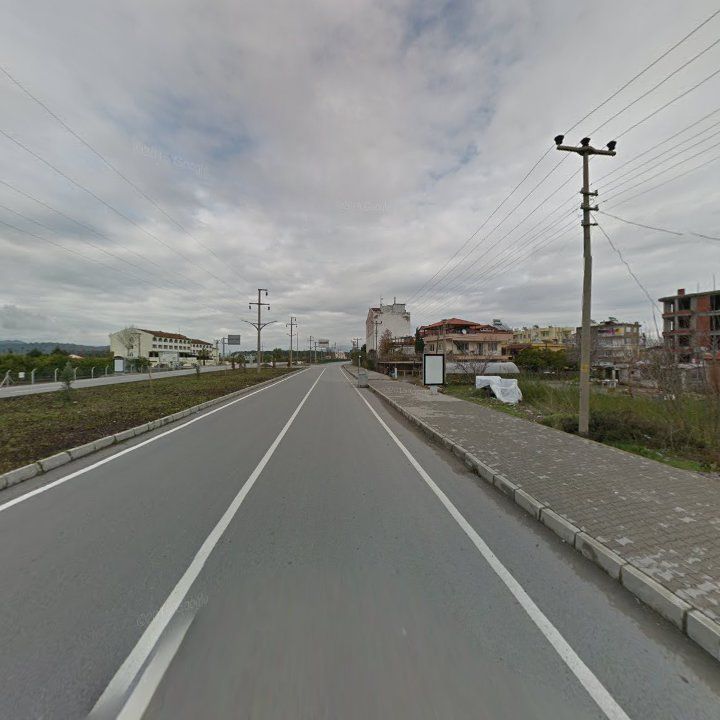 Fotoğraf 9