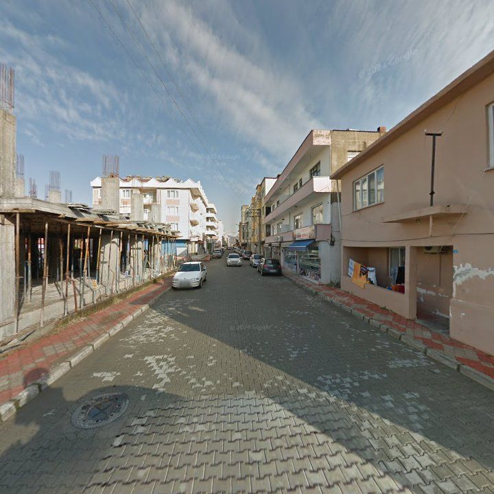 Fotoğraf 11