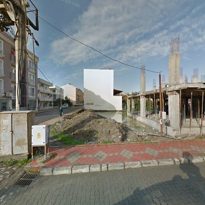 Fotoğraf 14