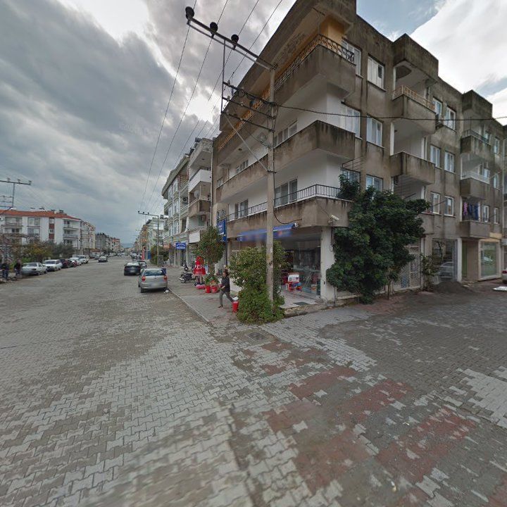 Fotoğraf 9