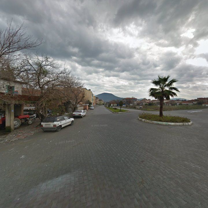 Fotoğraf 11