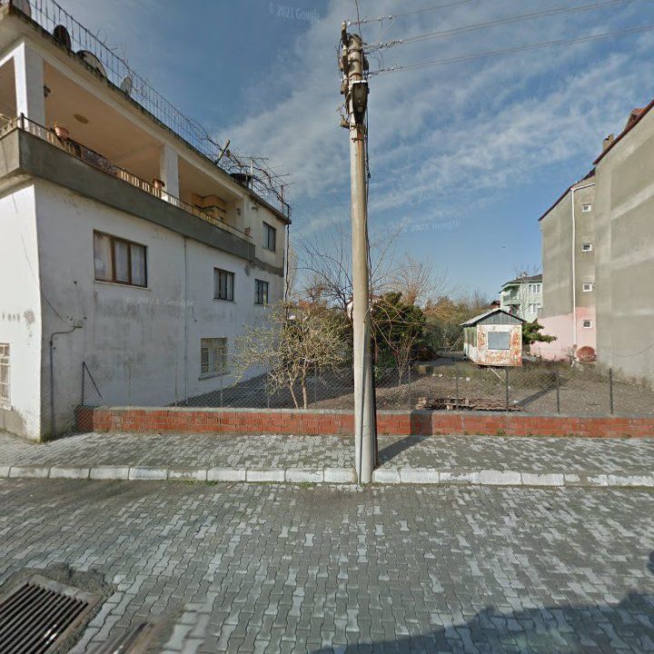 Fotoğraf 8