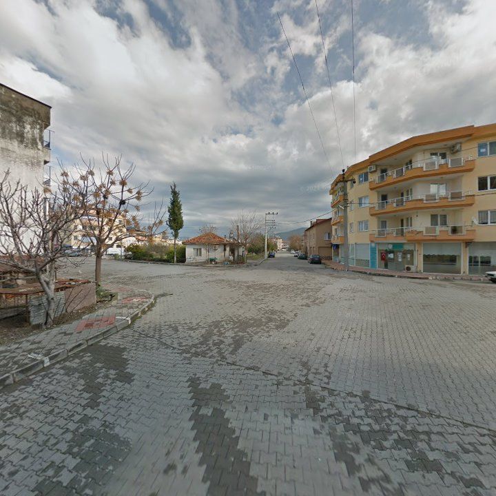 Fotoğraf 7