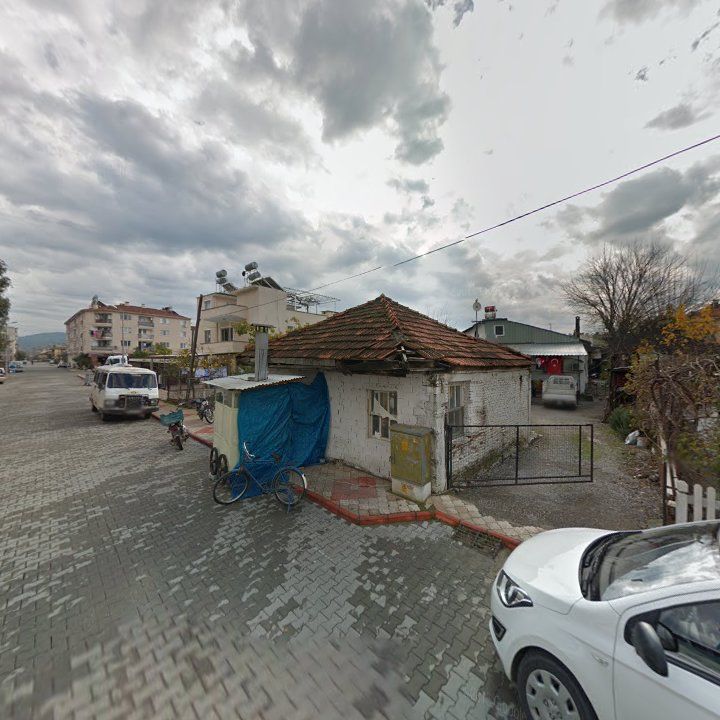 Fotoğraf 4