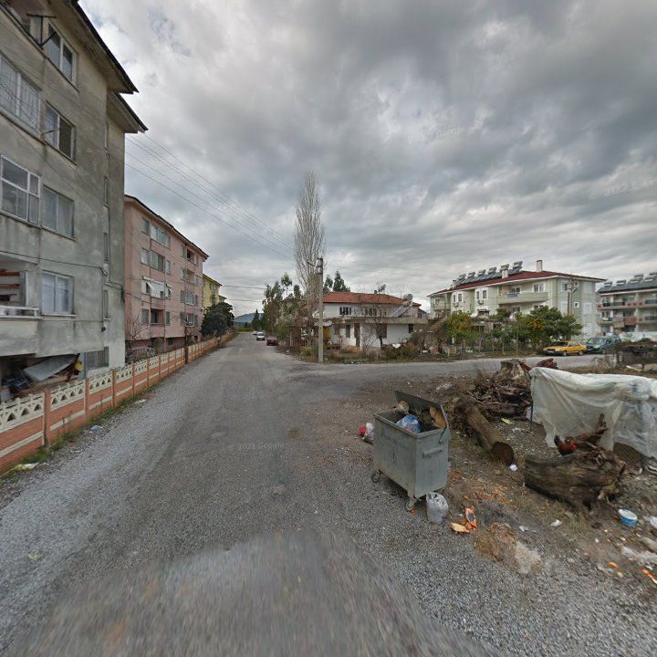 Fotoğraf 7